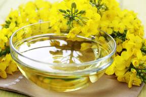 بهترین روغن خوراکی برای مصرف خانگی