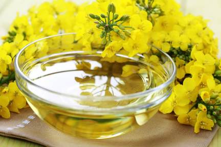 بهترین روغن خوراکی برای مصرف خانگی