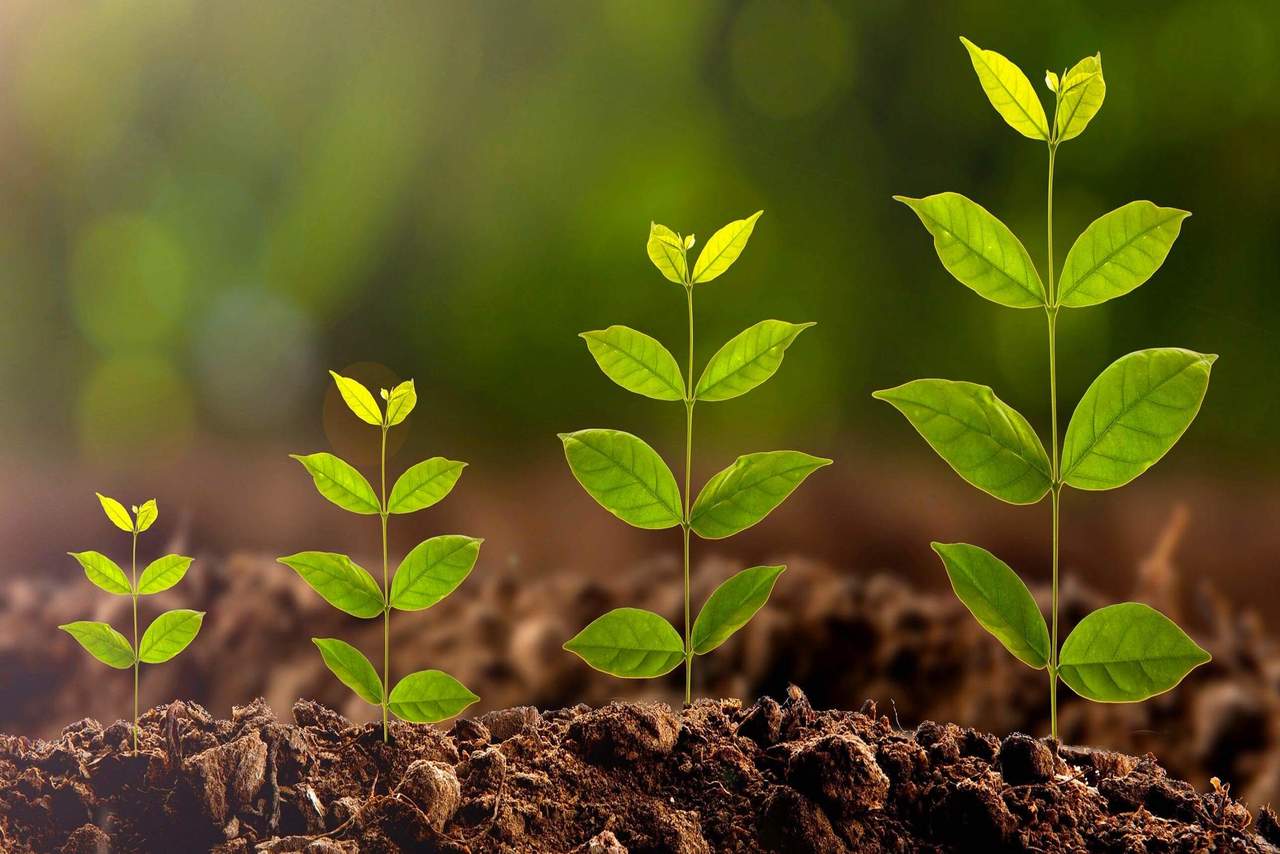 برای زیستن در زمان حال چه باید بکنیم؟