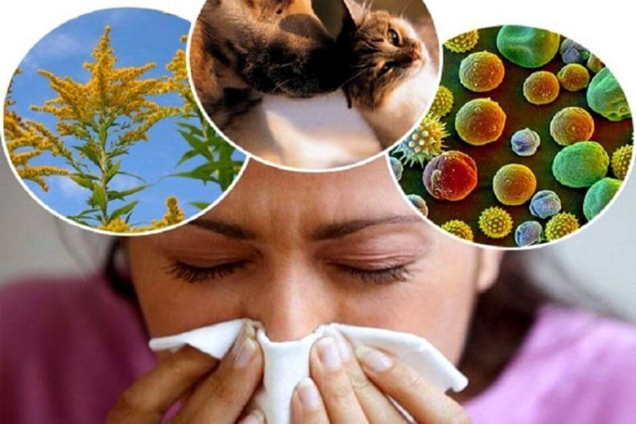 در مورد حساسیت چه می‌دانید؟