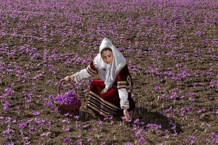 طلای سرخ ایرانی