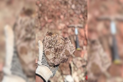 سایت تاریخی گمشده پس از 70 سال پیدا شد؛ دسترسی به فسیل‌های 260 میلیون ساله