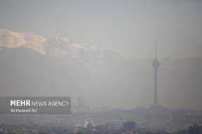 چگونه در هوای آلوده سالم بمانیم/ خواص دود کردن گیاهان در منزل