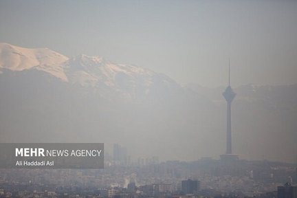 چگونه در هوای آلوده سالم بمانیم/ خواص دود کردن گیاهان در منزل