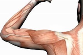 عضله سازی بدون چربی در کاهش خطر ابتلا به آلزایمر موثر است