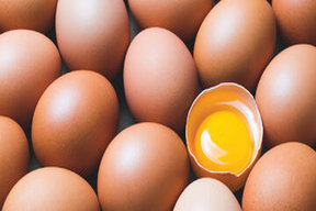 رنگ زرده تخم مرغ، به شما چه می‌گوید؟