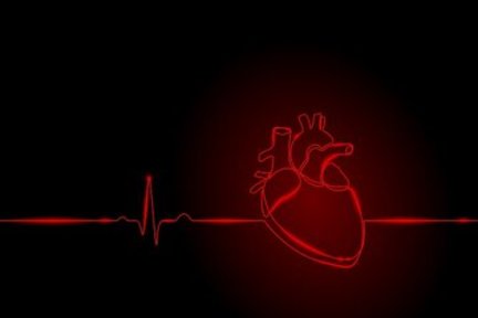 کوچک‌ترین قلب انسان روی یک تراشه تپیدن گرفت